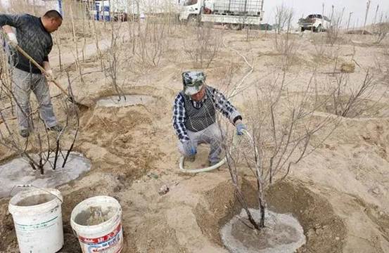 巡線班植樹現場（朱禮軍 攝）2